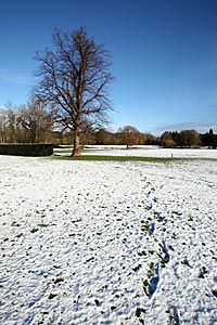 Abbey Grounds Cirencester