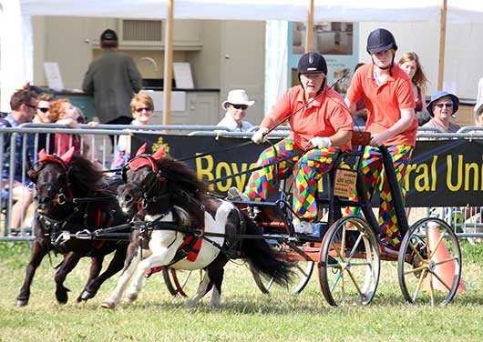 The Cotswold Show - One of the many events taking place in Cirencester